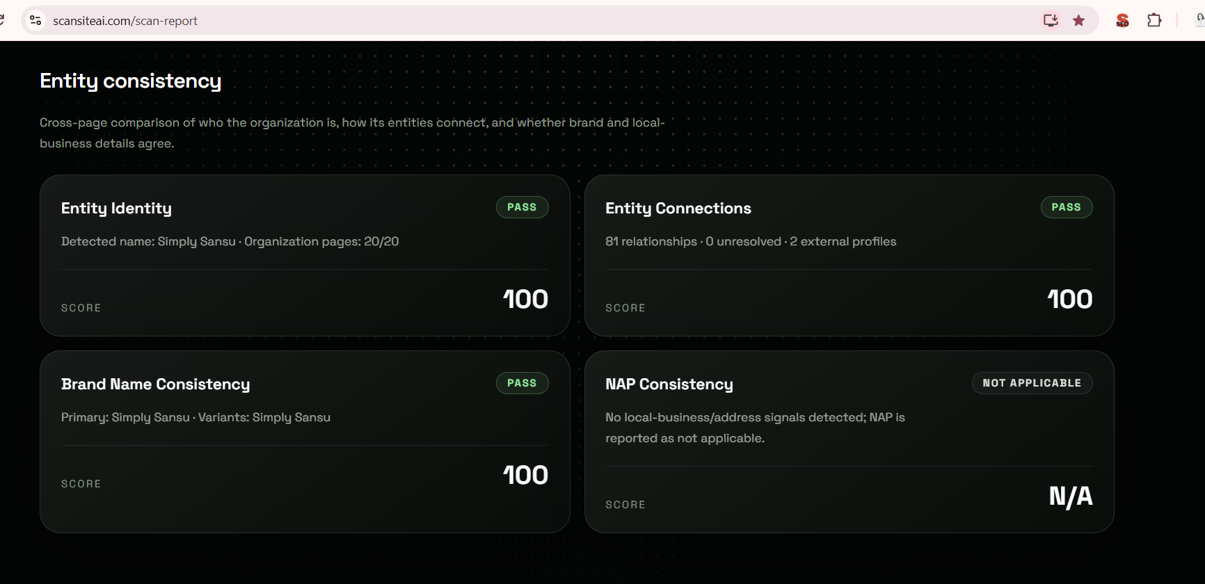 How I Took My Website’s Entity Identity, Brand Consistency, and Entity Connections to a Perfect 100
